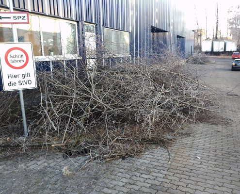 Baumfällung und Gehölzschnitt in München, © M+D Garten- und Landschaftsbau GmbH