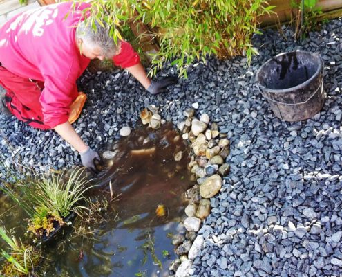 Neue Rasenfläsche mit Rollrasen, München-Trudering - © M+D Garten- und Landschaftsbau GmbH