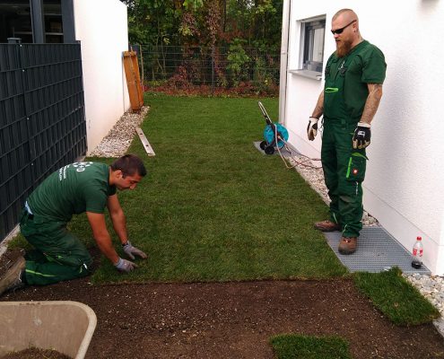 Rasenfläche mit Rollrasen herstellen - © M+D Garten- und Landschaftsbau GmbH