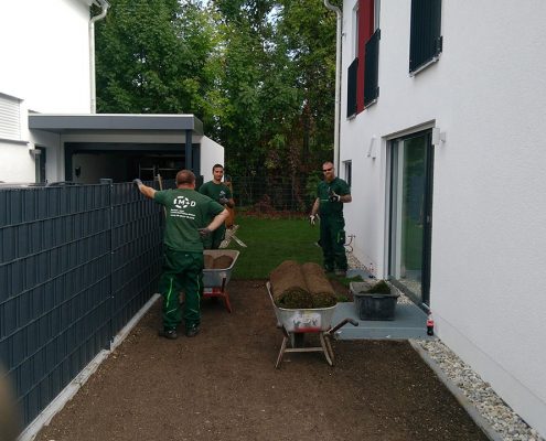 Rasenfläche mit Rollrasen herstellen - © M+D Garten- und Landschaftsbau GmbH