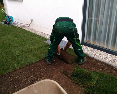 Rasenfläche mit Rollrasen herstellen - © M+D Garten- und Landschaftsbau GmbH