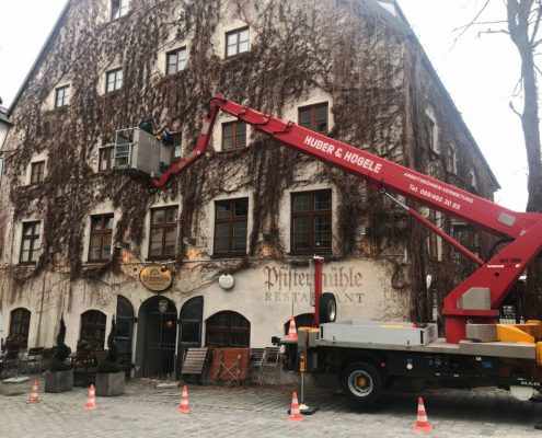 Schnittarbeiten an Fassadenbegrünung, München - © M+D Garten- und Landschaftsbau GmbH