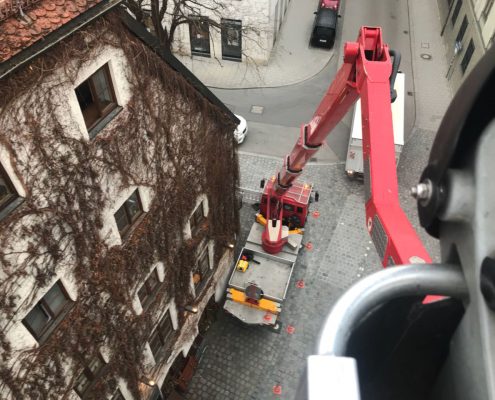 Schnittarbeiten an Fassadenbegrünung, München - © M+D Garten- und Landschaftsbau GmbH